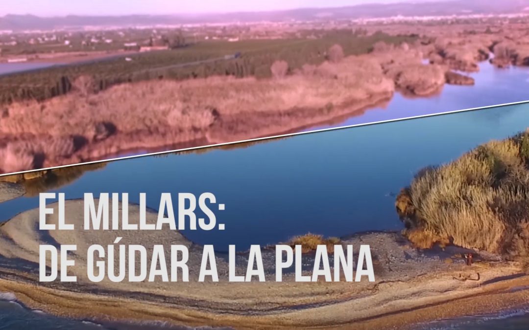El Consorci del Paisatge Protegit de la Desembocadura del Millars estrena una sèrie de 12 reportatges audiovisuals per a promocionar l’espai fluvial