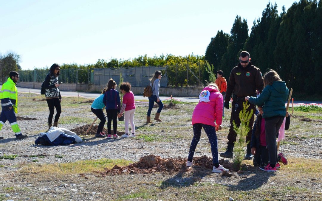 50 alumnes del col·legi José Iturbi de Borriana planten arbres al Paisatge Protegit de la Desembocadura del riu Millars