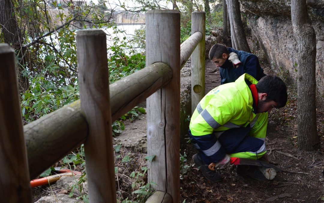 El Consorci riu Millars finalitza els treballs de rehabilitació de la senda botànica