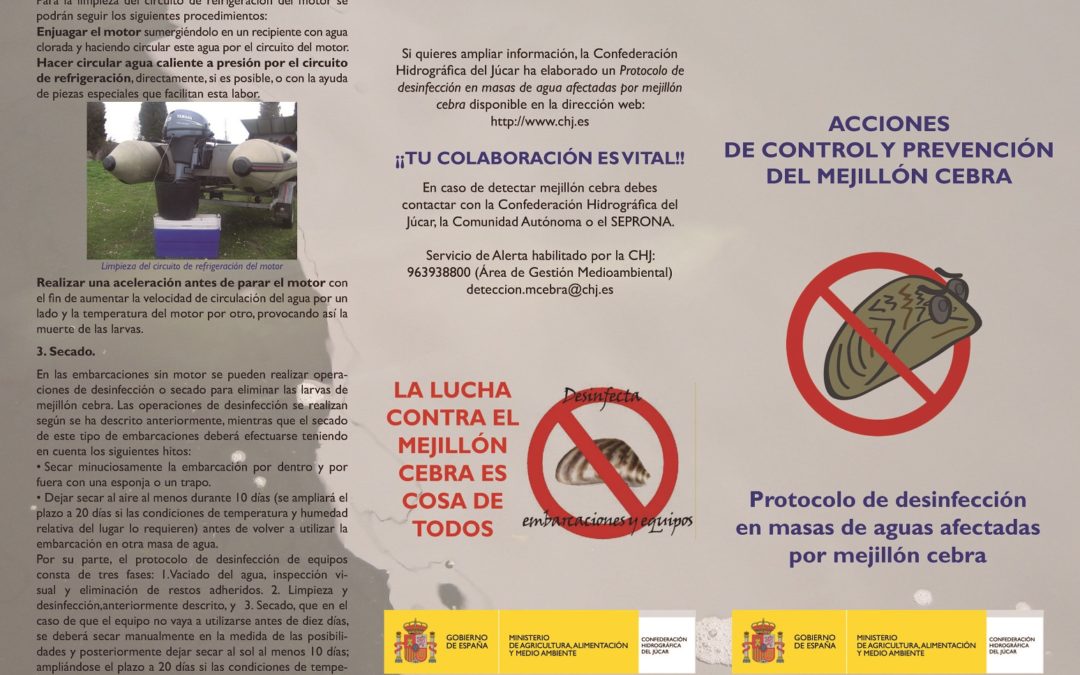 Protocol de desinfecció de la clòtxina zebrada (espècie invasora)