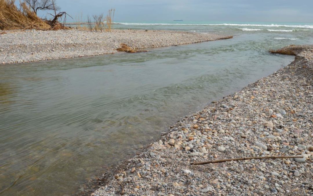 La desembocadura del riu Millars es torna a obrir a la Mediterrània després d’un any tancada