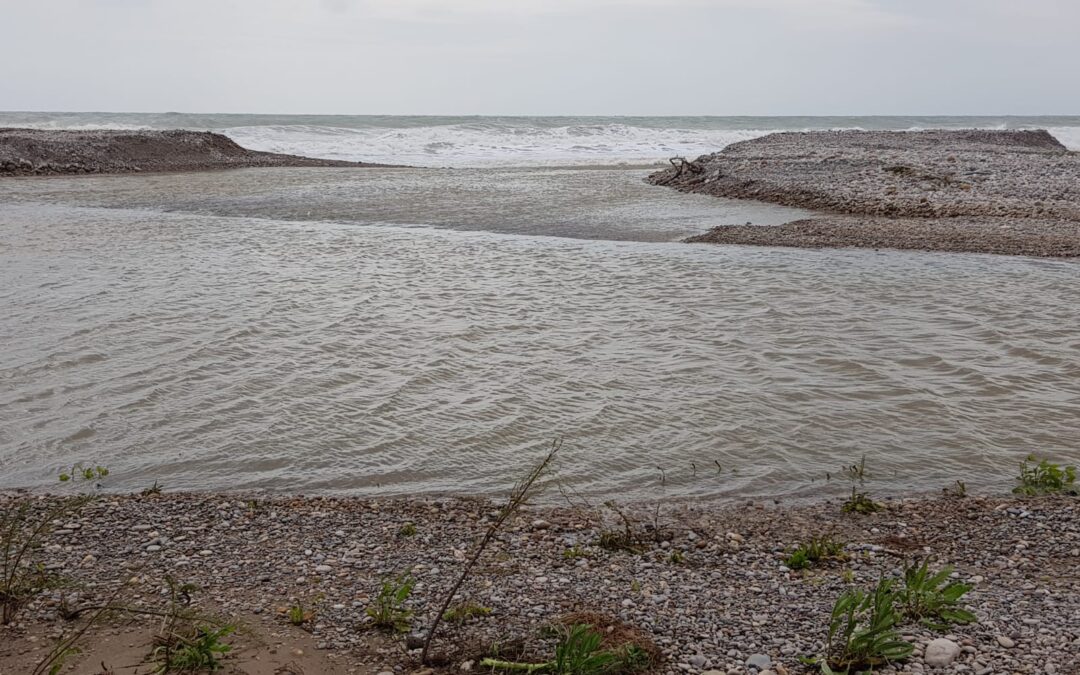 La gola sud del Paisatge Protegit de la desembocadura del riu Millars s’obri novament a la mar després d’estar un any tancada
