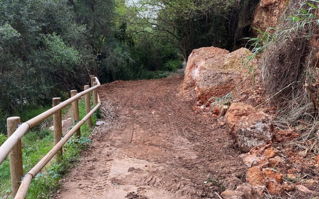 La Ruta Botànica de Vila-real obri novament al públic després de les obres de restauració dels despreniments