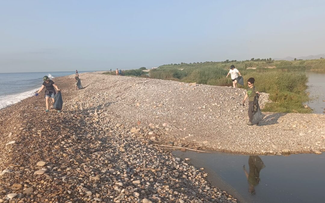 El Consorci del Millars i GER-EA culminen el projecte de protecció de les mongetes amb una jornada de neteja de la platja, després d’afavorir la reproducció d’una quinzena de parelles